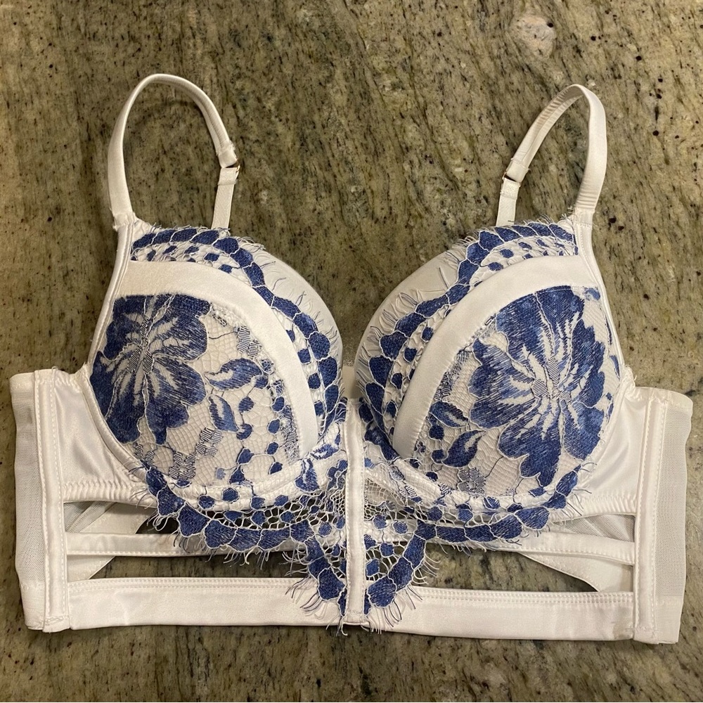 NWOT - stunning blue and white lace cut out Bra